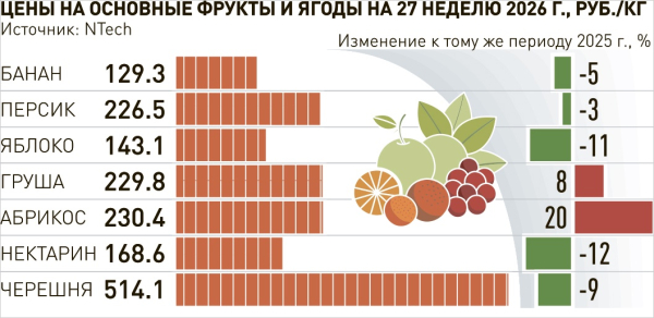 Цены ниже, чем в прошлом году. В России заметно подешевели черешня, абрикосы и нектарины