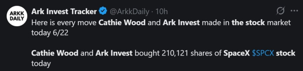 Кэти Вуд покупает акции SpaceX на спаде: Ark Invest вкладывает 32,5 млн долларов на фоне падения курса акций на 16 %