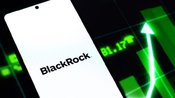 Blackrock остановила падение курса биткоин-ETF: IBIT привлек 48 млн долларов после 13 дней падения