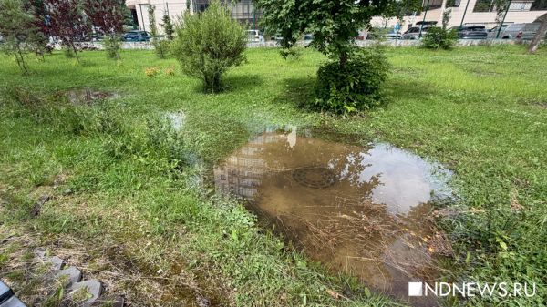 Ливнёвки забиты, вода стоит. Что будет, если в Екатеринбурге снова пойдёт дождь