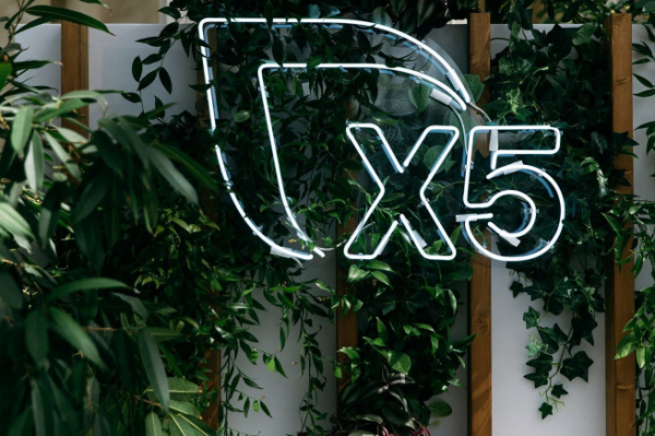 Чистая прибыль X5 в 2025 году снизилась на 13,9%