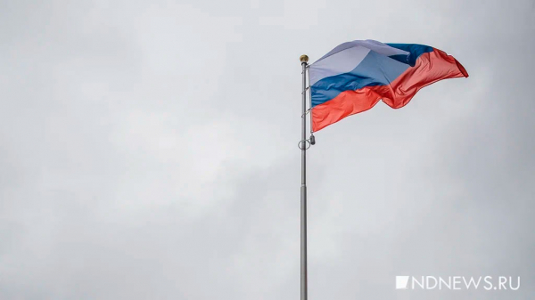 С флагом и гимном: российских самбистов допустили до международных соревнований