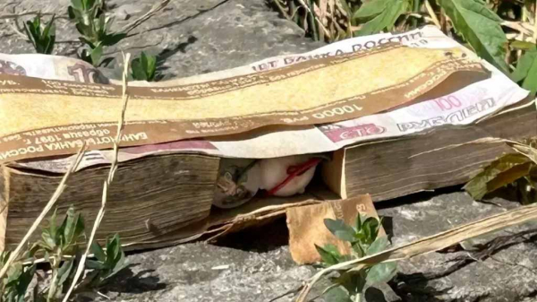 Замаскированную под пачку денег бомбу нашли в Минводах