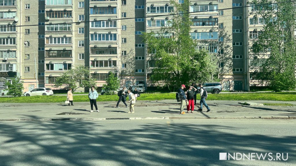 В мэрии Екатеринбурга не знают точно, сколько еще нужно поставить остановок на месте снесенных киосков
