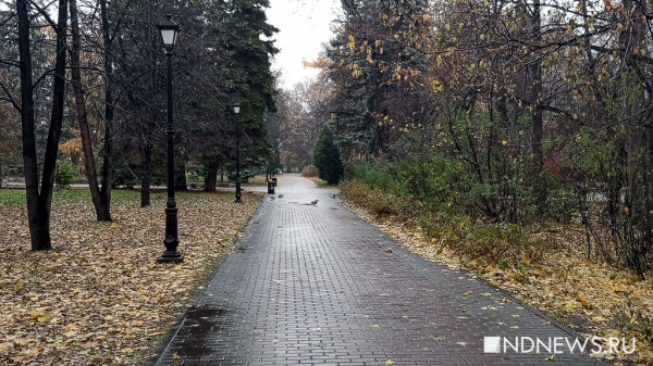 Погодная аномалия: температура воздуха в Москве превысит климатическую норму