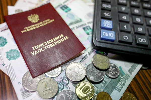 Депутат Чаплин напомнил, какие соцвыплаты теряет пенсионер при трудоустройстве