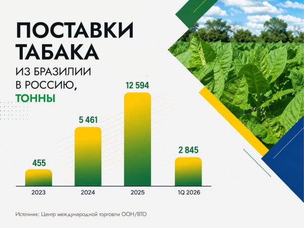 Бразильский табак завоевывает мир