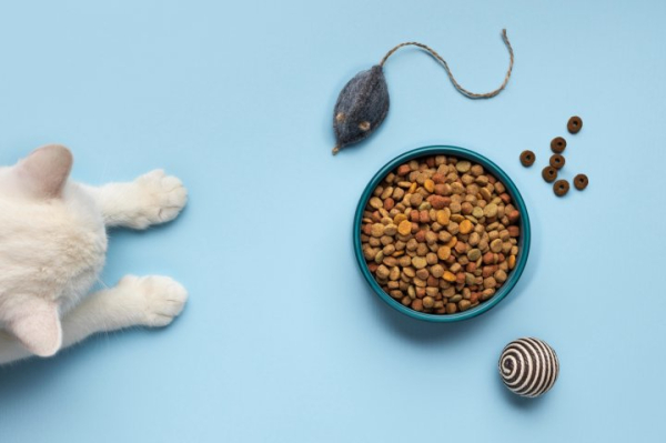 Аналитики «Мегамаркета» назвали самые популярные вкусы корма для питомцев Аналитики «Мегамаркета» назвали самые популярные вкусы корма для питомцев