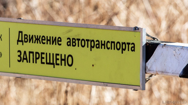 В Челябинске по пешеходной зоне городского бора автомобили разъезжают, как по дороге В Челябинске по пешеходной зоне городского бора автомобили разъезжают, как по дороге
