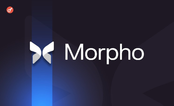 Morpho привлек $175 млн в статусе &laquo;единорога&raquo;
