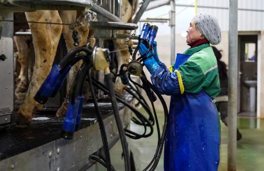 
                    Патрушев отметил роль Россельхознадзора в развитии экспорта агропродукции

        