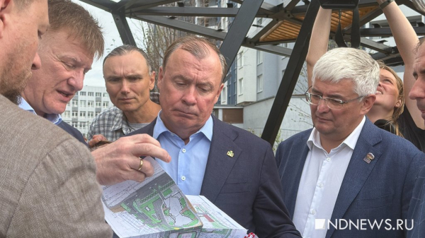В Кировском районе обновляют школы, строят детсад и благоустраивают квартал (ФОТО) В Кировском районе обновляют школы, строят детсад и благоустраивают квартал (ФОТО)