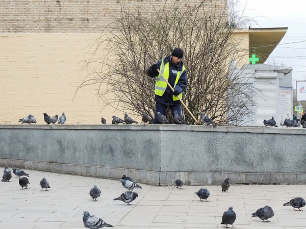 &laquo;Хотят больше денег&raquo;: каких специалистов в столице катастрофически не хватает и почему