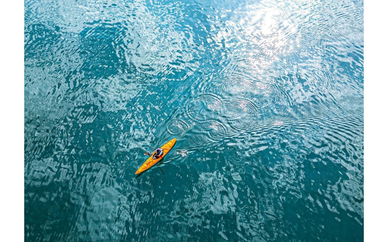 Красота, которую не замечают: 7&nbsp;ярких фото с&nbsp;премии Rotary Photo Awards 2026