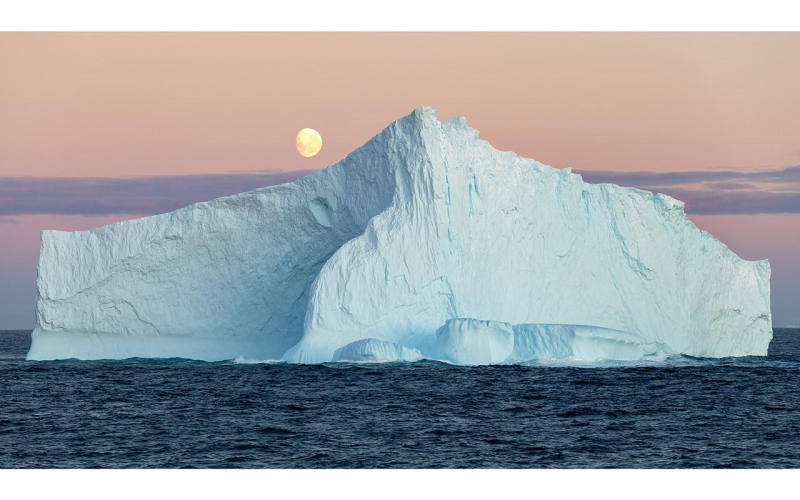 Красота, которую не замечают: 7&nbsp;ярких фото с&nbsp;премии Rotary Photo Awards 2026
