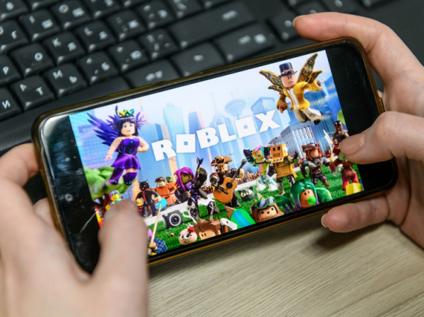 Мизулина собирает жалобы на блокировку Roblox для РКН