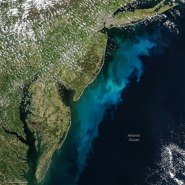 NASA показало &laquo;призрачное&raquo; скопление живых микроорганизмов у побережья США