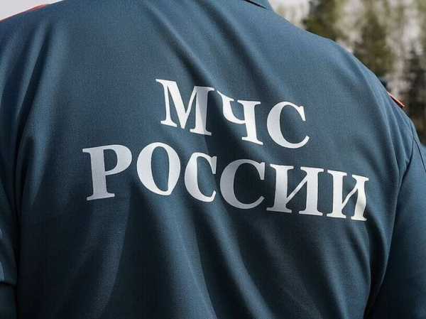 Названа главная версия пропажи семьи в тайге под Красноярском