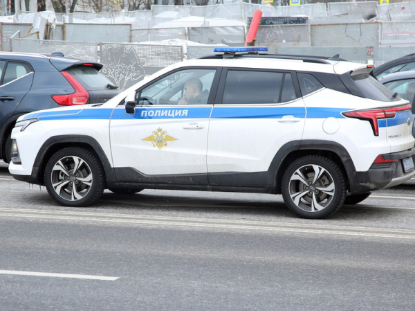 Пропавшую с пятью детьми россиянку нашли спустя месяц поисков