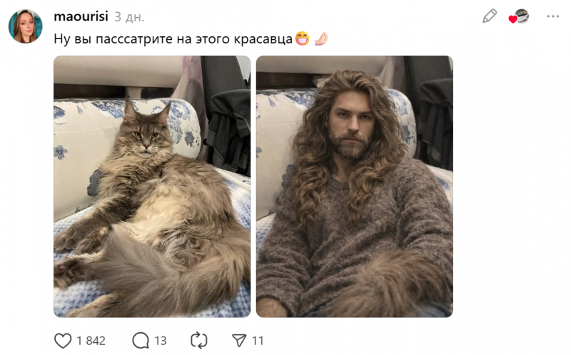 В Сети завирусился новый тред с очеловечиванием животных на фото при помощи ИИ