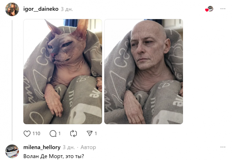 В Сети завирусился новый тред с очеловечиванием животных на фото при помощи ИИ
