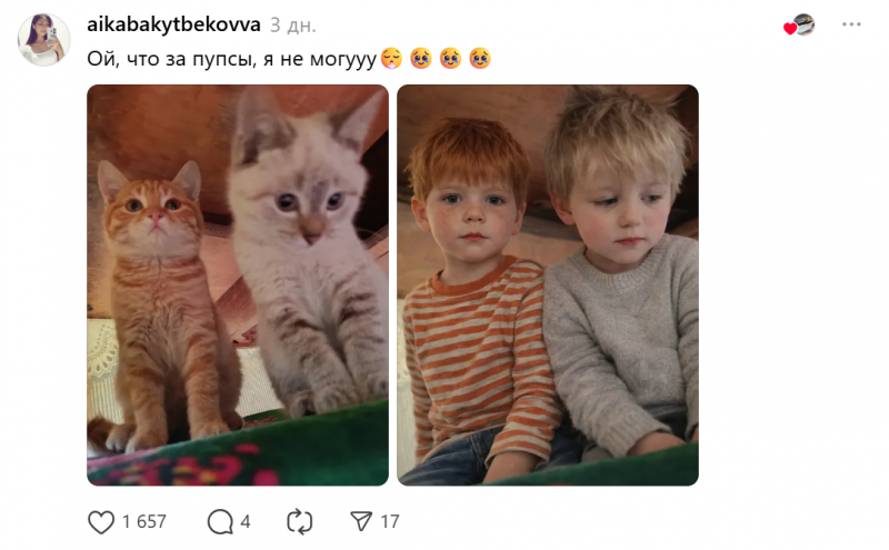 В Сети завирусился новый тред с очеловечиванием животных на фото при помощи ИИ