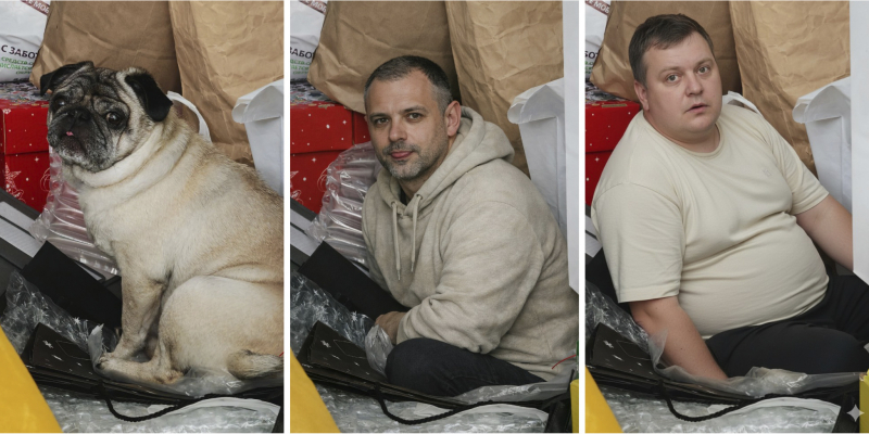 В Сети завирусился новый тред с очеловечиванием животных на фото при помощи ИИ